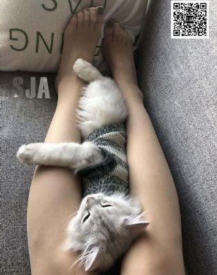 重口味毛片_蓝光迅雷电影在线