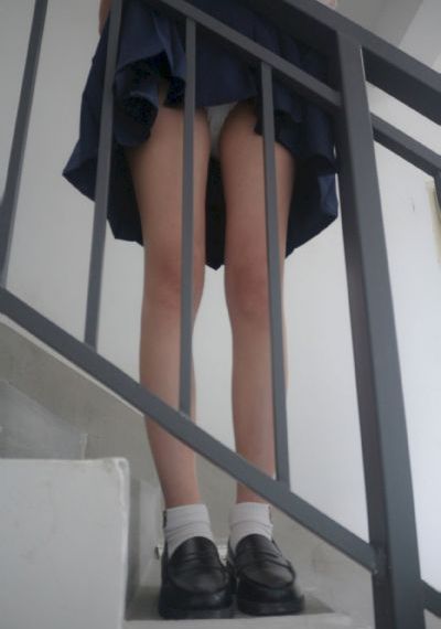 以爱为营电视剧全集免费观看_HD完整版观看