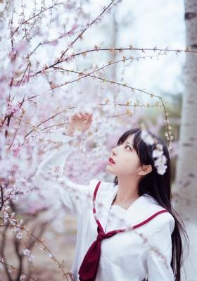 杨光的快乐生活1_高清神马影院在线